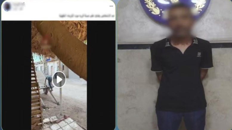المتهم وجانب من الواقعة 