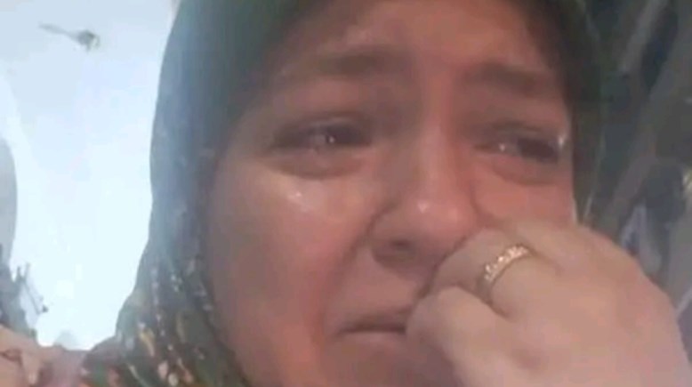 الشيف سلمى 
