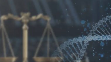 دعوى إثبات نسب - تعبيرية