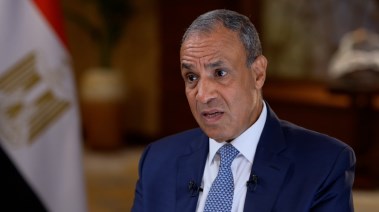 وزير الخارجية بدر عبدالعاطي