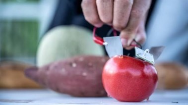 إنتاج الكهرباء من الطعام
