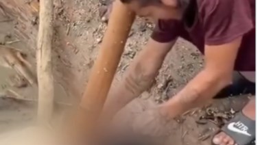 سرقة ضحايا فيضان نيبال