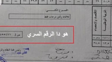 صورة توضيحية 