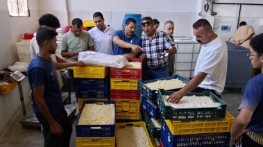 لقطة من المضبوطات 