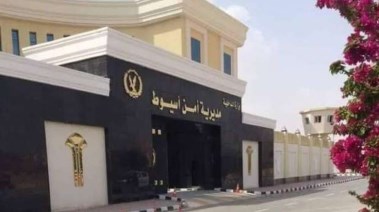 ارشيفيه