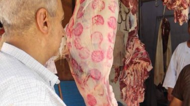 محافظة أسوان 