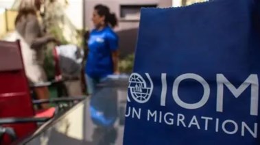 المنظمة الدولية للهجرة “IOM