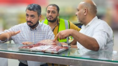 حملات تمونية 