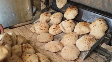 حملات تمونية 