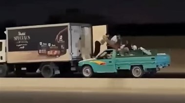 واقعة السرقة