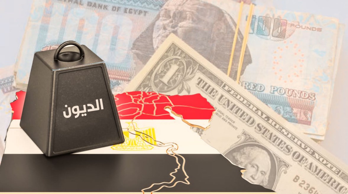 الاقتصادي حسن هيكل