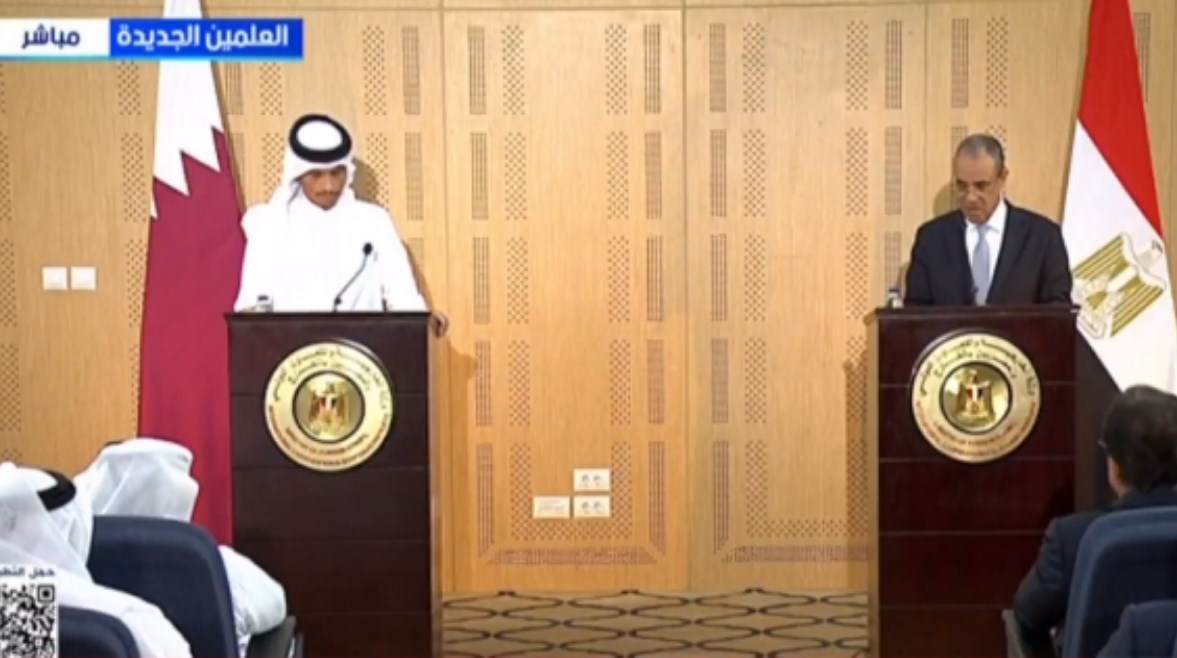 الدكتور بدر عبد العاطي، وزير الخارجية