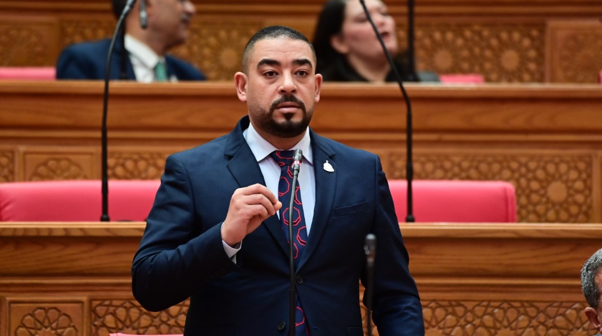 النائب أحمد رجب الشافعي 