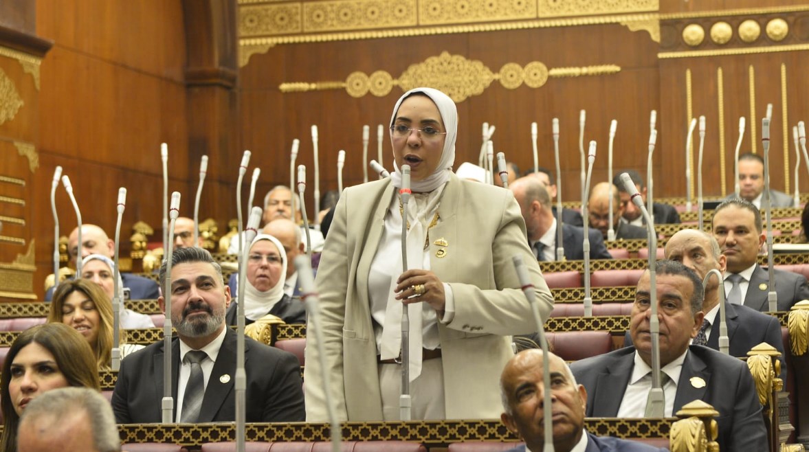 عضو مجلس الشيوخ، النائبة وفاء رشاد