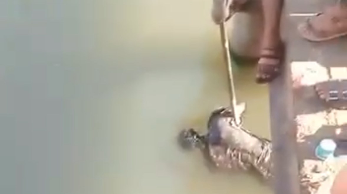 صورة الواقعة 
