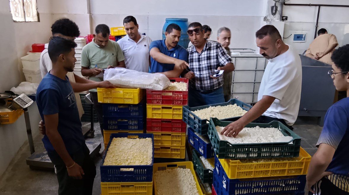لقطة من المضبوطات 