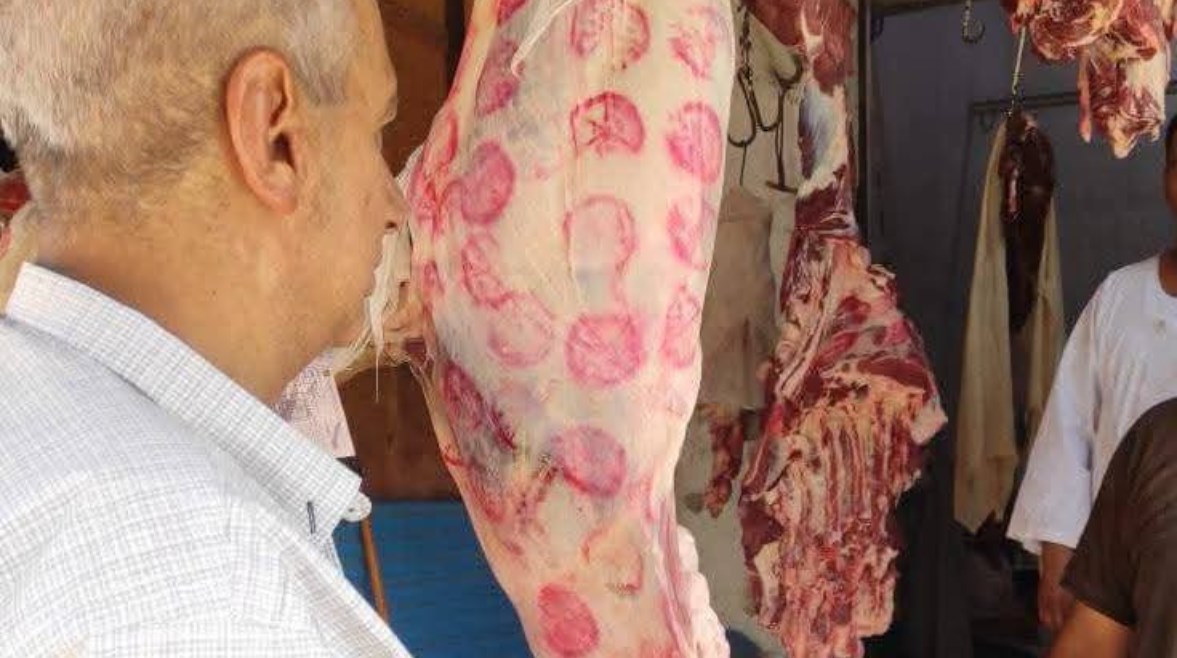 محافظة أسوان 
