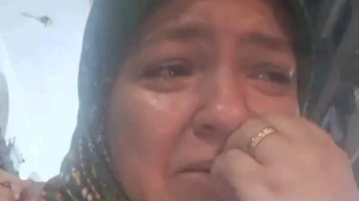 الشيف سلمى 