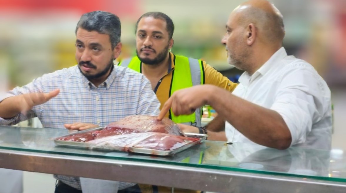 حملات تمونية 
