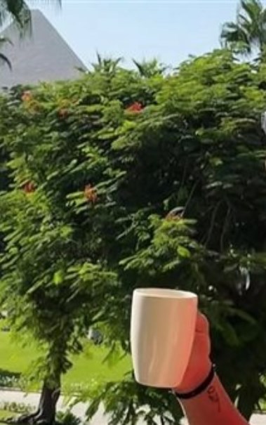 ماتيوس كونيا،