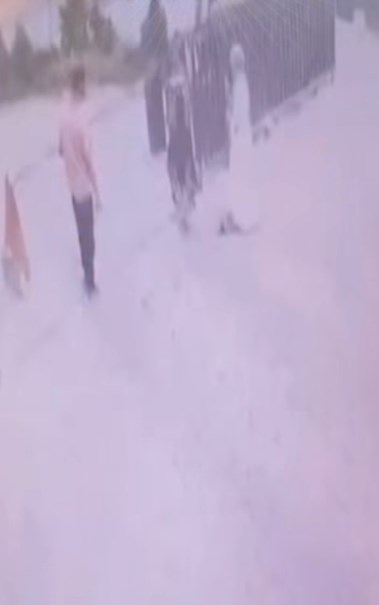 صورةمن الفيديو المتداول