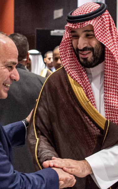 الرئيس السيسي والأمير محمد بن سلمان