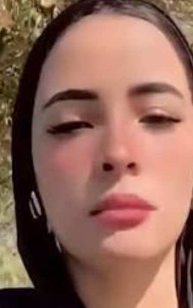 دينا عزت 