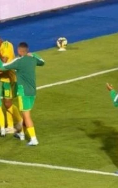 منتخب جنوب أفريقيا