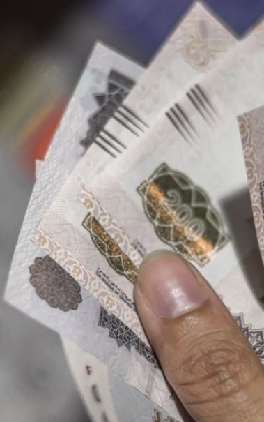  استثمار أموال التأمينات