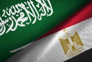 علما مصر والسعودية 