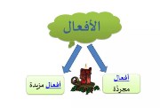 الأفعال المجردة  المزيدة