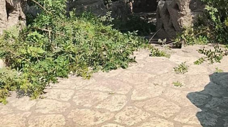 حديقة الأسماك بالزمالك