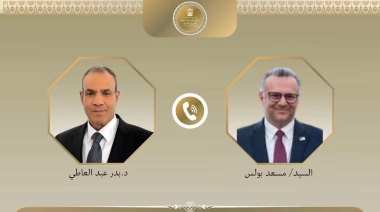 وزير الخارجية الدكتور بدر عبدالعاطي