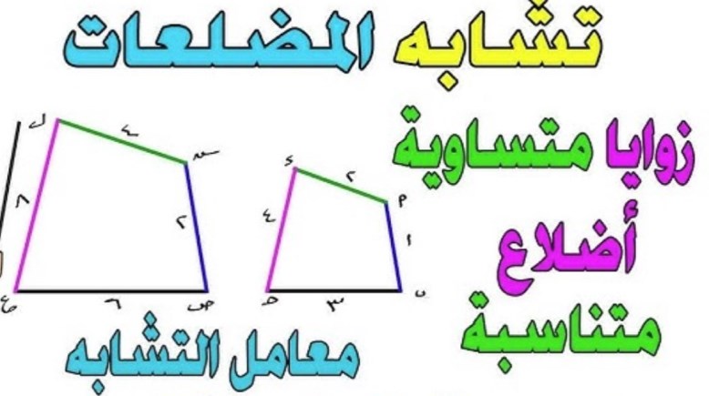  درس تشابه المضلعات للصف الأول الثانوي 2026-2027
