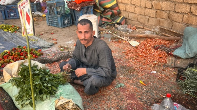 من سوق اليوم الواحد 
