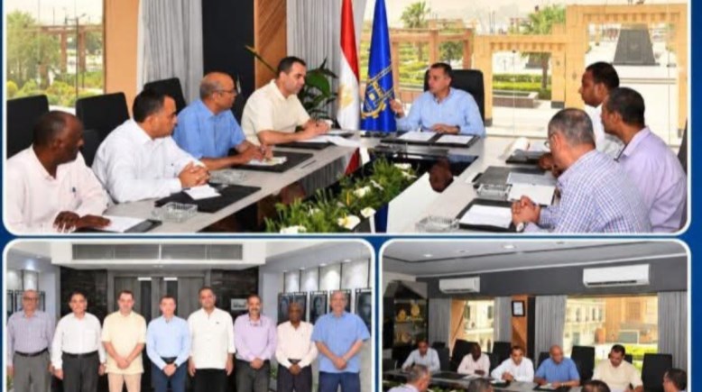 محافظ أسوان 