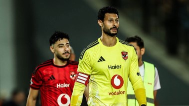 محمد الشناوي 