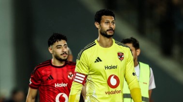 محمد الشناوي