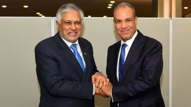 وزير الخارجية والتعاون الدولي والمصريين بالخارج