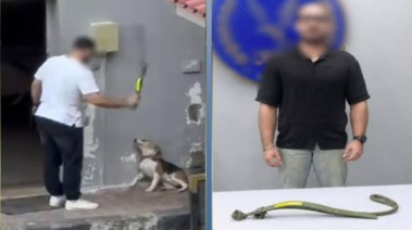 المتهم وجانب من الواقعة 
