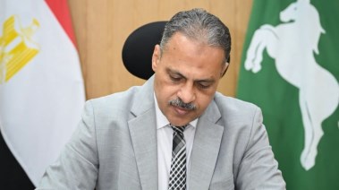 محافظ الشرقية 