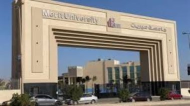 جامعة ميريت 