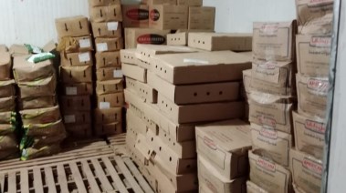 المضبوطات 