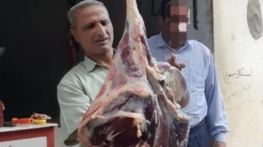 لحوم فاسدة 