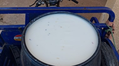 صورة من المضبوطات 