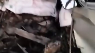 الميكروباص المتضرر من الحادث