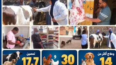 محافظة أسوان 