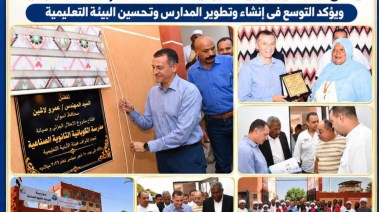 محافظ أسوان 