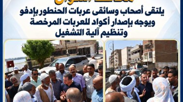 محافظ أسوان 