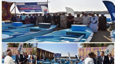 محافظة أسوان 